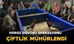 İzmir’de Horoz Dövüşü Operasyonu: Çiftlik Mühürlendi