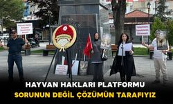 Karaman Hayvan Hakları Platformu:“Sorunun Değil, Çözümün Tarafıyız”