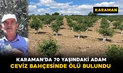 Karaman'da 70 yaşındaki adam ceviz bahçesinde ölü bulundu