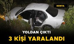 Kontrolünü kaybeden otomobil yoldan çıktı: 3 yaralı