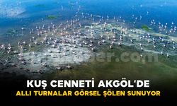 Kuş cenneti Akgöl eski günlerine döndü: "Allı turnalar" görsel şölen sunuyor