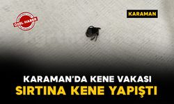 Piknik sonrası sırtına kene yapışan şahıs hastanede sağlığına kavuştu