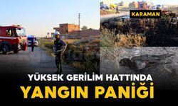 Saksağan kuşu yangına neden oldu