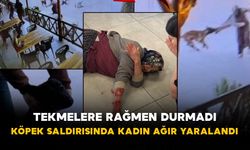 Tekmelere rağmen durmadı: Köpek saldırısında kadın ağır yaralandı