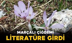 Yeni Endemik Tür “Marçalı Çiğdemi” Literatüre Girdi