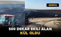 500 dekar ekili alan kül oldu