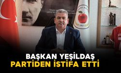 Başkan Yeşildaş partiden istifa etti