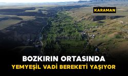 Bozkırın ortasında yemyeşil vadi: Buğdaylı Köyü bereketli yılı yaşıyor