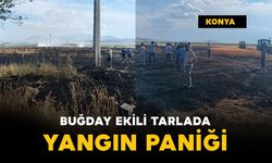 Buğday ekili tarlada yangın paniği