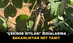 "Çekirge İstilası" İddialarına Bakanlıktan Net Yanıt