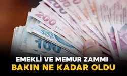 Emekli ve memur zammı ne kadar oldu?