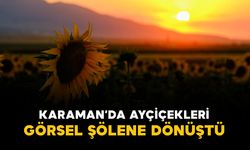 Karaman’da ayçiçeği tarlaları görsel şölene dönüştü