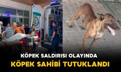 Karaman'da çocuğun köpeğin saldırısına uğradığı olaya ilişkin tutuklama