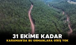 Karaman'da ormanlara giriş yasağı başladı! İşte yasak kapsamındaki bölgeler