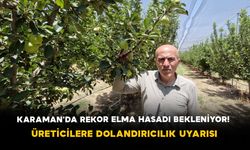 Karaman'da Rekor Elma Hasadı Bekleniyor! Üreticilere Dolandırıcılık Uyarısı
