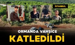 Katilinin düğün fotoğrafını çekti, ormanda vahşice öldürüldü