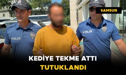 Kediye tekme attı: tutuklandı