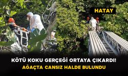 Kötü Koku Gerçeği Ortaya Çıkardı! Ağaçta Cansız Halde Bulundu