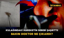 Kulağındaki Hareketin Sebebi Şaşırttı! Bakın Doktor Ne Çıkardı?