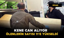 O ilde keneden ölenlerin sayısı 11'e yükseldi