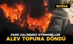 Park halindeki otomobiller alev topuna döndü