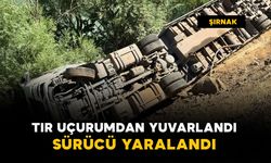 Tır uçurumdan yuvarlandı: 1 yaralı