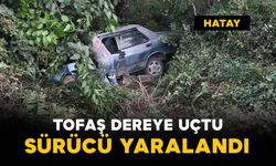 Tofaş dereye uçtu: sürücü yaralandı