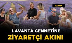 Yoldan geçenler mor lavanta tarlasını görünce durmadan edemiyor