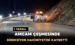 Amcam Çeşmesi'nde Sürücü Direksiyon Hakimiyetini Kaybetti