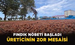Fındık Nöbeti Başladı: Üreticinin Zor Mesaisi