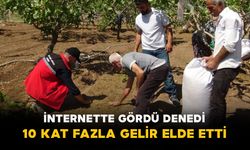 İnternette Görüp Denedi: 10 Metrekareden 800 Metrekareye