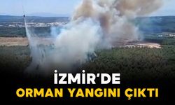 İzmir'de orman yangını çıktı