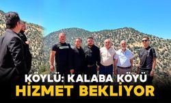 Kalaba Köyü Hizmet Bekliyor Verilen Sözler Tutulmalıdır