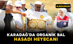 Karadağ’da Organik Bal Hasadı Heyecanı