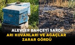 Karaman’da Alevler Bahçeyi Sardı! Arı Kovanları ve Ağaçlar Zarar Gördü