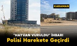 Karaman'da "Hayvan Vuruldu" İhbarı Polisi Harekete Geçirdi