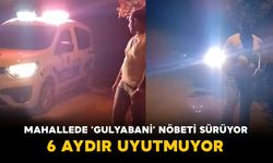 Mahallede ‘Gulyabani’ Nöbeti Sürüyor: 6 Aydır Mahalleliyi Uyutmuyor