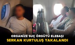 Organize Suç Örgütü Elebaşı Serkan Kurtuluş Yakalandı