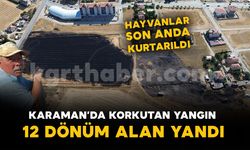 Otluk alanda çıkan yangın anıza sıçradı: 12 dönüm alan yandı