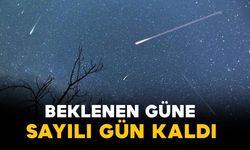 Perseid Meteor yağmuru ne zaman? Sayılı gün kaldı