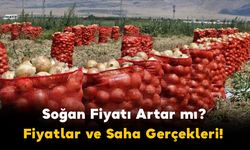 Soğan Fiyatı Artar mı, Üretici Zarar mı Ediyor? Fiyatlar ve Saha Gerçekleri!