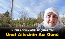 Sudurağı'nın Asırlık Çınarı Vefat Etti