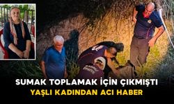 Sumak Toplamak İçin Çıkmıştı: Yaşlı Kadından Acı Haber