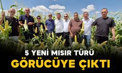 Türkiye’den 45 ülkeye uzanan tohumlar Karaman’da üreticiyle buluştu