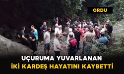 Uçuruma Yuvarlanan İki Kardeş Hayatını Kaybetti