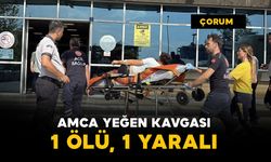 Amca-yeğen kavgasında kan aktı: 1 ölü, 1 yaralı
