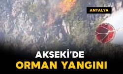Antalya Akseki’de orman yangını