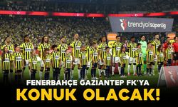 Fenerbahçe, Gaziantep FK'ya konuk olacak
