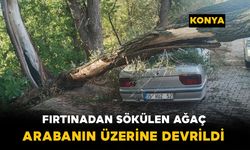 Fırtınada kökünden sökülen ağaç otomobilin üzerine devrildi