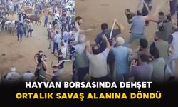 Hayvan Borsasında Dehşet: Ortalık Savaş Alanına Döndü